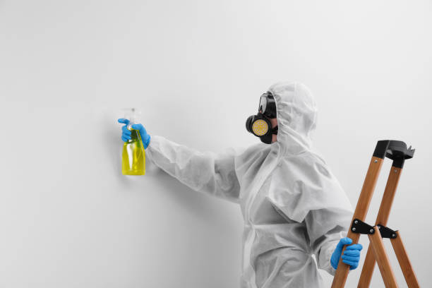 Mold Odor Removal Services in Garfield, TX